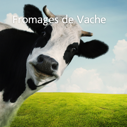 Fromage de Vache