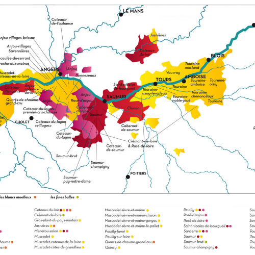 Vin du Pays de la Loire