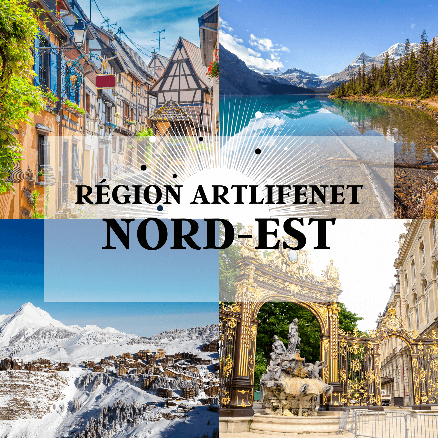 Région ArtLifeNet Nord-Est